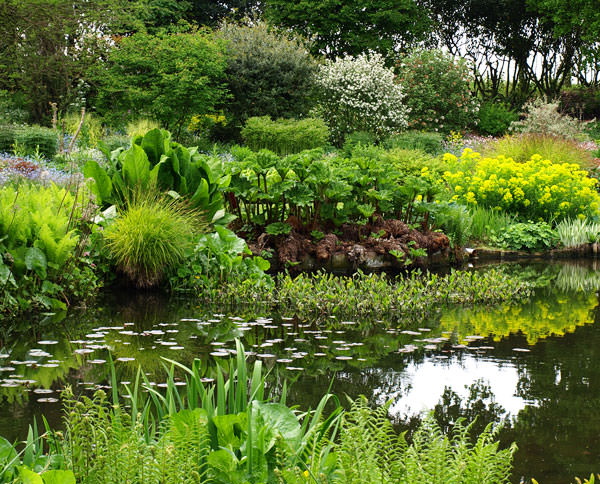 Water garden planting at the Beth Chatto Gardens