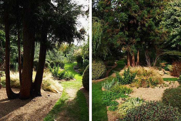 Trees in Fullers Mill Garden