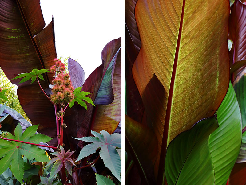 Henstead Exotic Garden